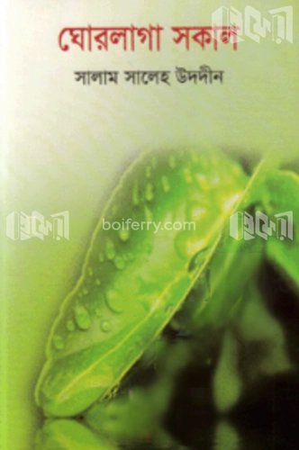 ঘোরলাগা সকাল