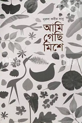 আমি গেছি মিশে