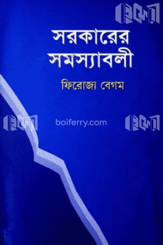 সরকারের সমস্যাবলী