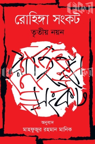 রোহিঙ্গা সংকট : তৃতীয় নয়ন