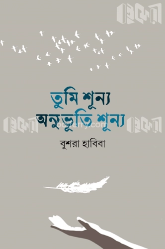 তুমি শূন্য অনুভূতি শূন্য