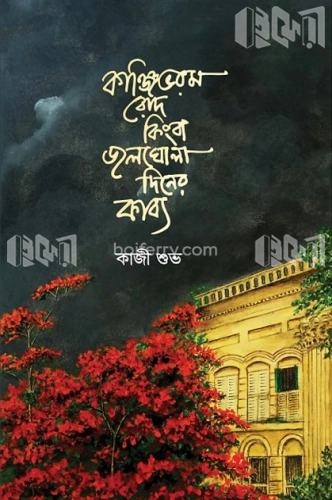 কাঞ্জিভরম রোদ কিংবা জলঘোলা দিনের কাব্য