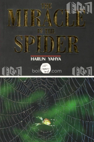 The Miracle In the Spider (Colour Picture)