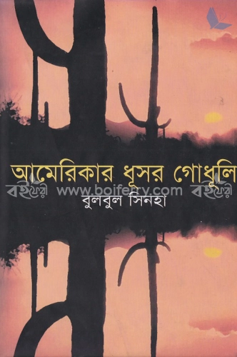 আমেরিকার ধুসর গৌধুলী