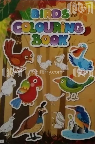 Birds Colouring Book