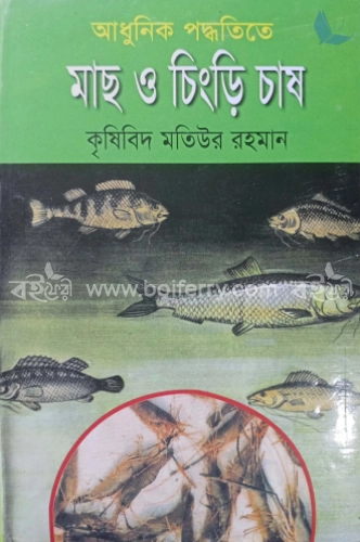 আধুনিক পদ্ধতিতে মাছ ও চিংড়ি চাষ