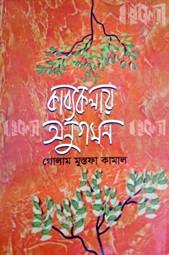 কাব্যকলায় অনুগমন