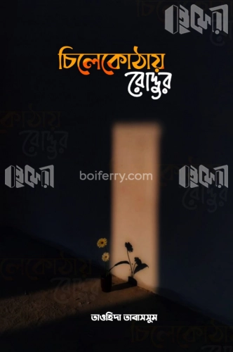 চিলেকোঠায় রোদ্দুর