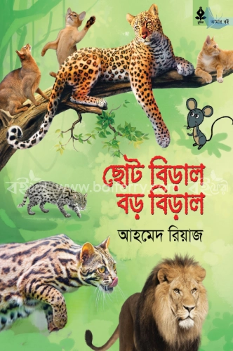 ছোট বিড়াল বড় বিড়াল