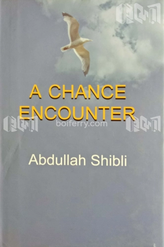 A Chance Encounter