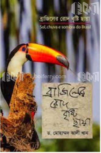 ব্রাজিলের রোদ বৃষ্টি ছায়া