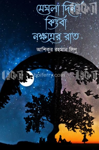 মেঘলা দিন কিংবা নক্ষত্রের রাত