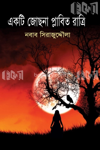 একটি জোছনা প্লাবিত রাত্রি