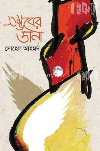 সম্ভবের ডানা