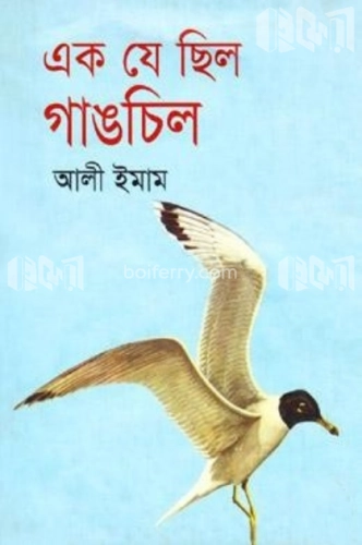 এক যে ছিল গাঙচিল